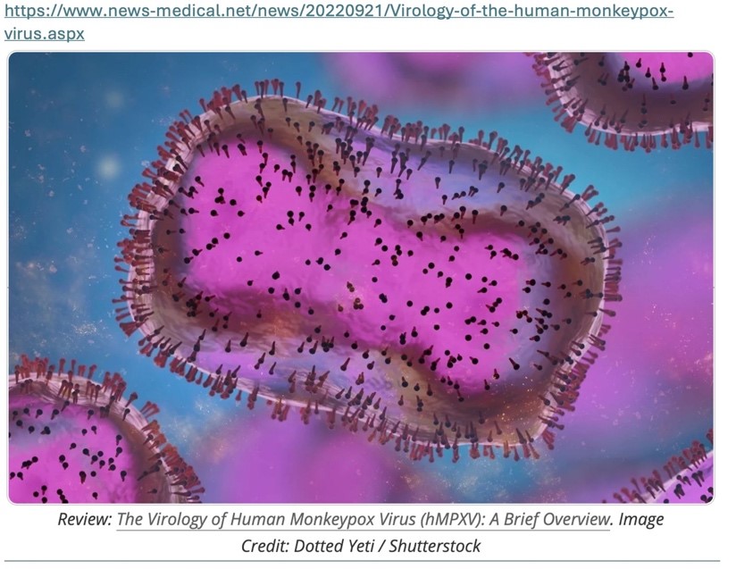 Figura 1. Infección de células por el virus MPXV.